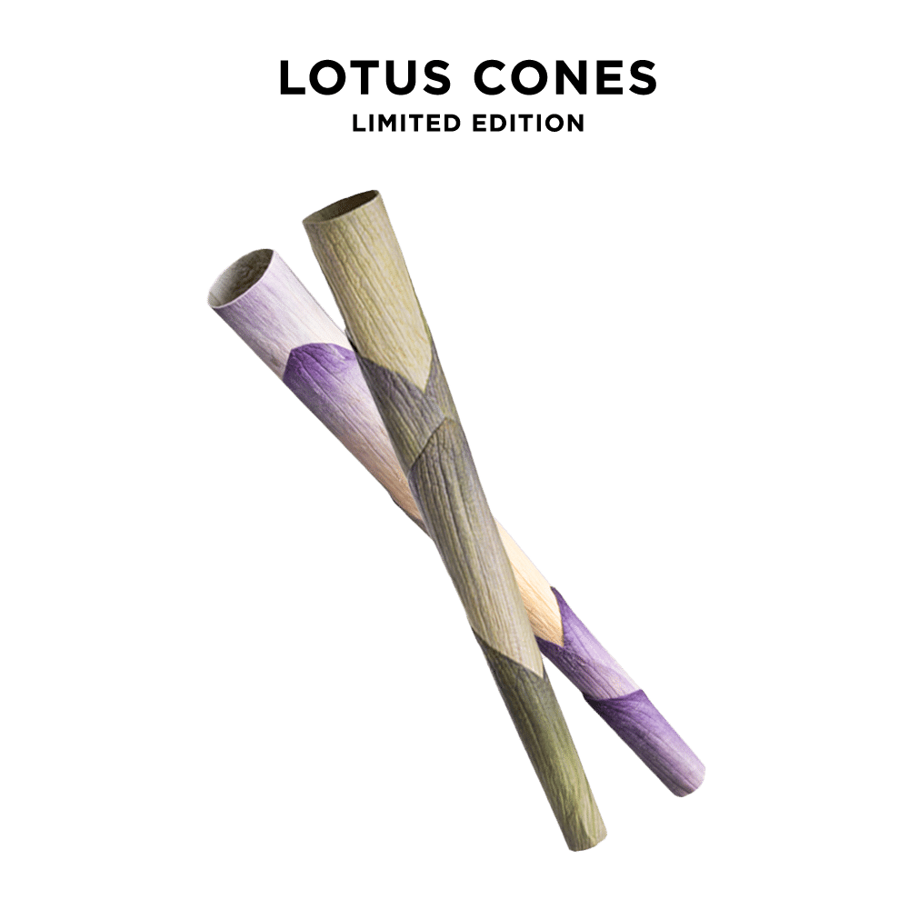 Lotus Cones from Real Lotus Petals