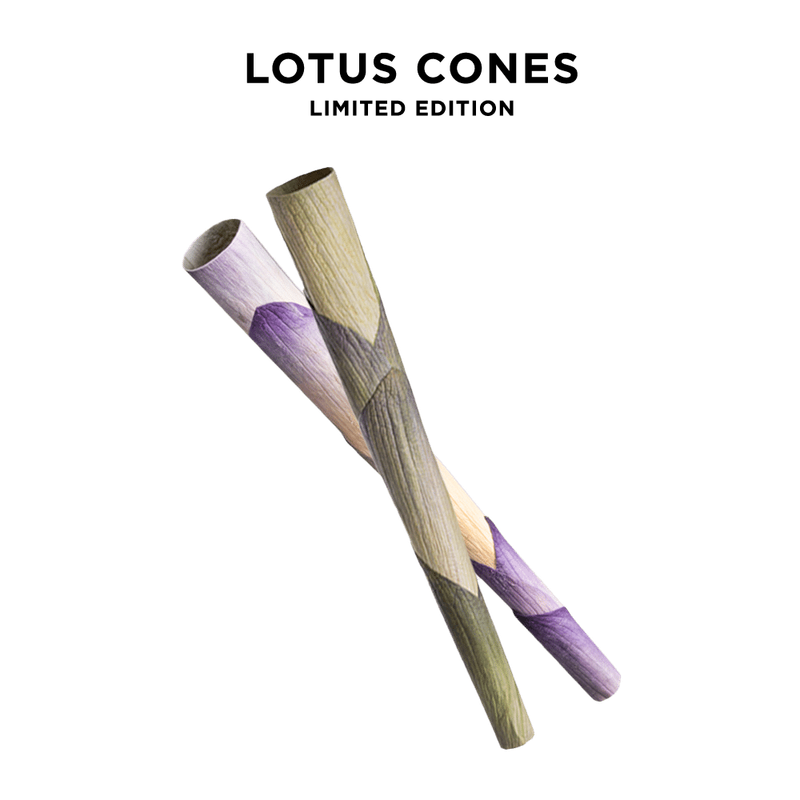 Accessories (non consumables)