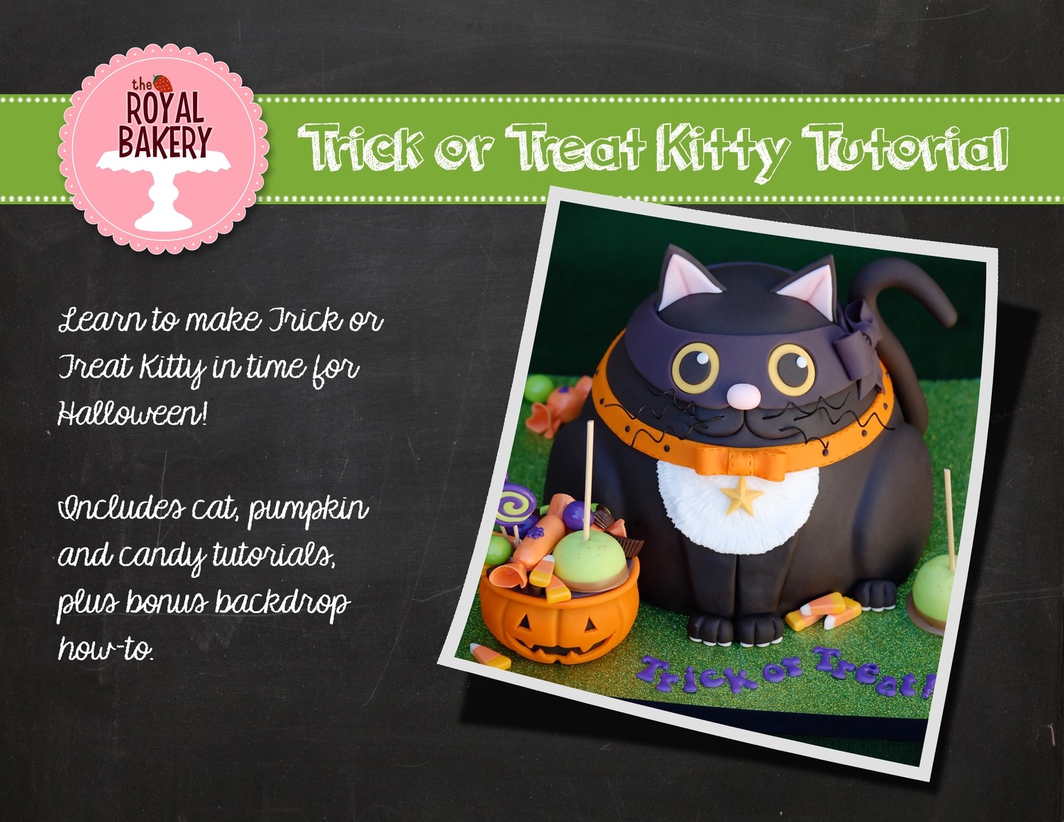 Trick or Treat Kitty