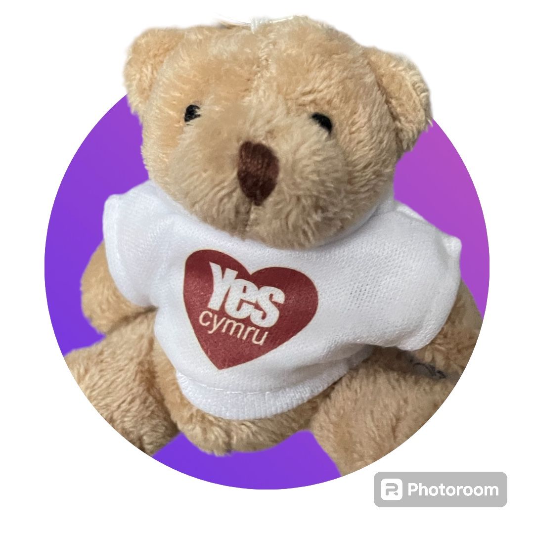 Teddy Bear Keyring