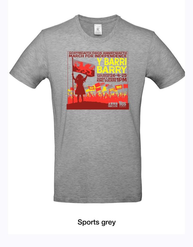 Barry March T Shirt - Grey