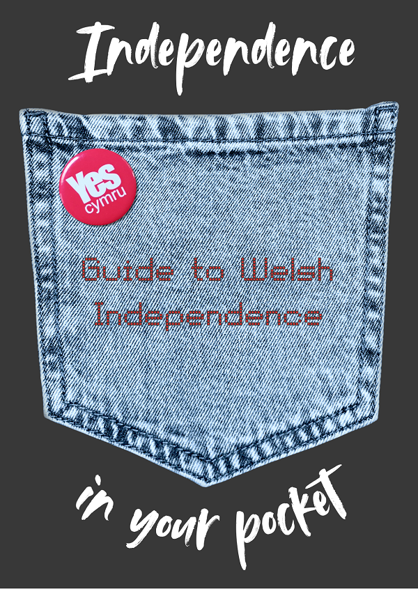 Independence in Your Pocket Booklet (Bilingual)