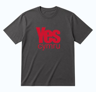 Grey YesCymru T Shirt