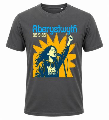 Aberystwyth T Shirt - Grey
