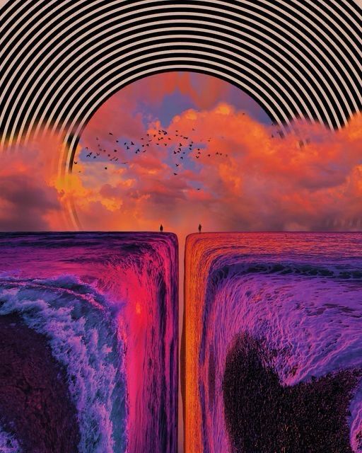 The Black Rose Experience