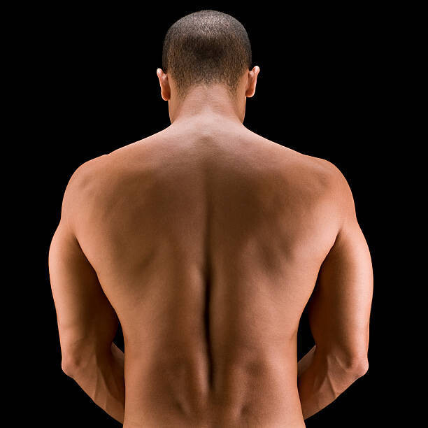 6 Pack Back Wax