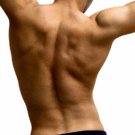 Back and Chest Wax Combo Back and Chest Wax Combo