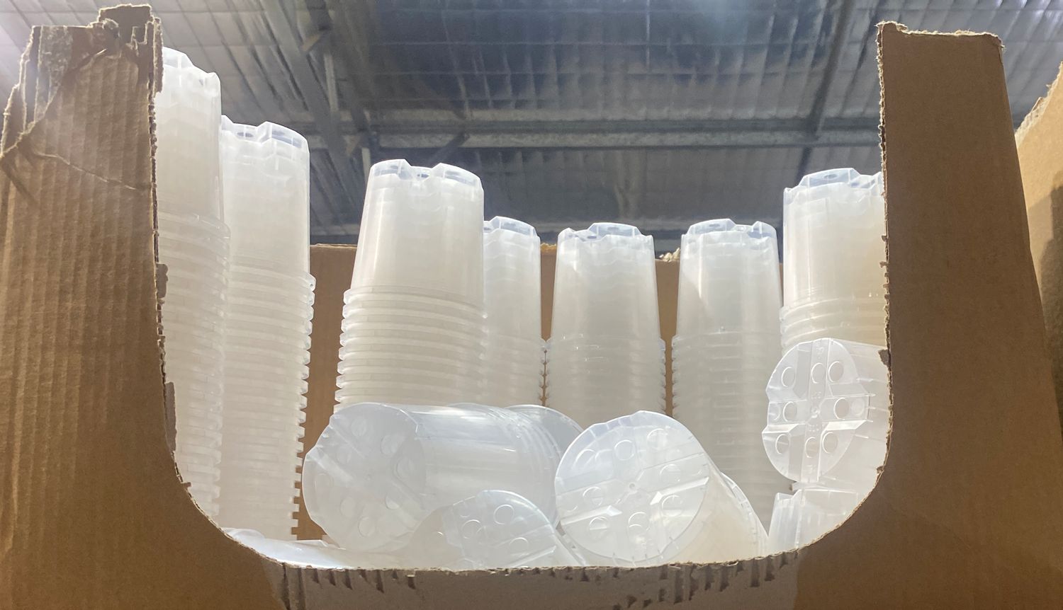 Garden city small clear pot