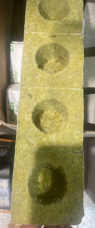 Rock wool cube (large)