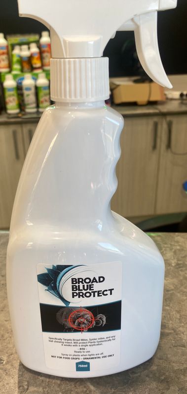 Broad Blue Protect Spray