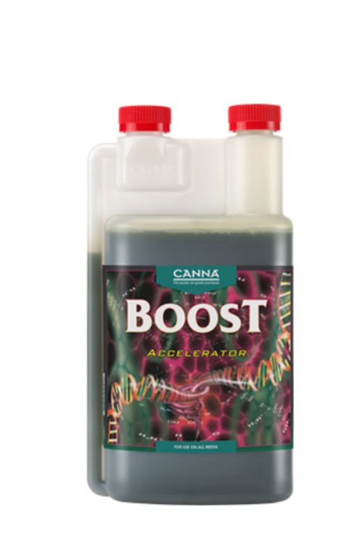 Boost Accelerator
