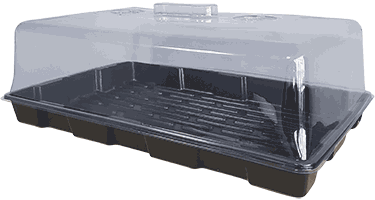 Jumbo Clone dome large