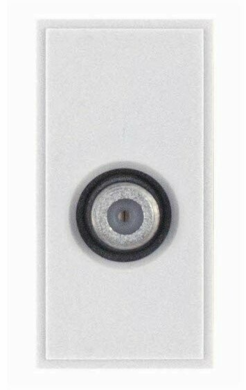 MOD-19 F-Type Satellite Module – Non-Isolated