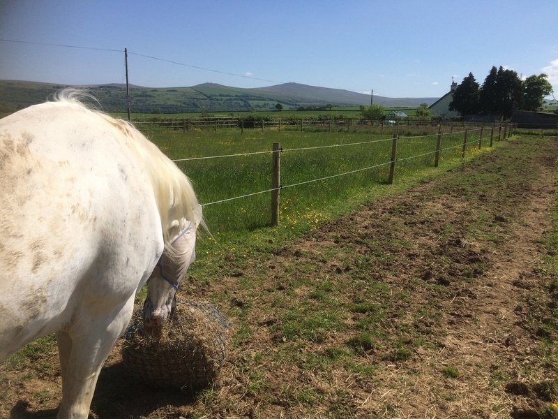 1 ticket - Saturday 3rd June, Track Discovery Workshop, Including Lunch