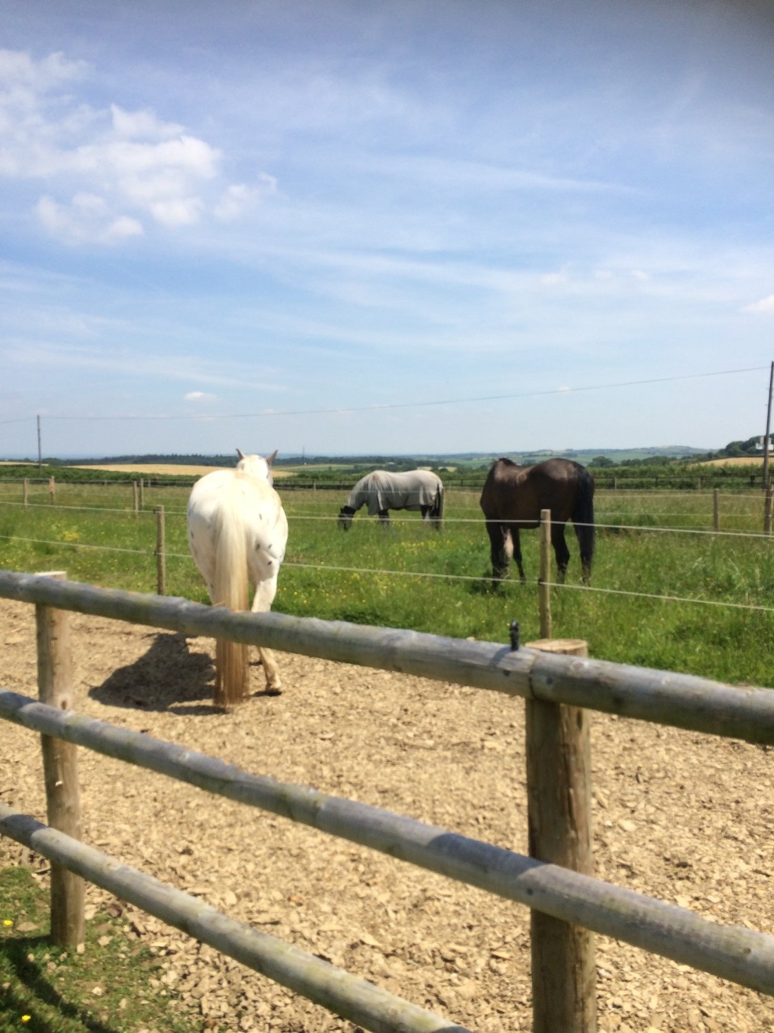 1 Ticket - Sunday 19th August - Track discovery workshop - Weekend Bed and Breakfast ticket 1 Ticket - Sunday 19th August - Track discovery workshop - Weekend Bed and Breakfast ticket