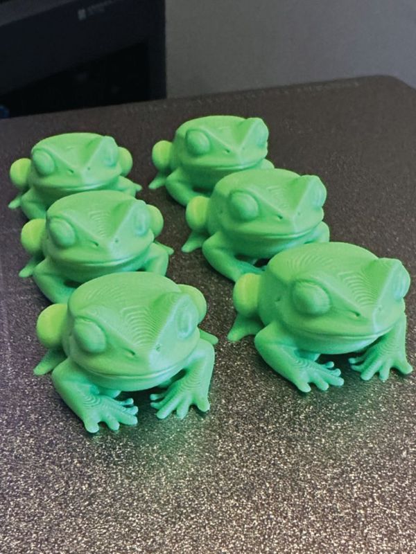 Bubu Frog