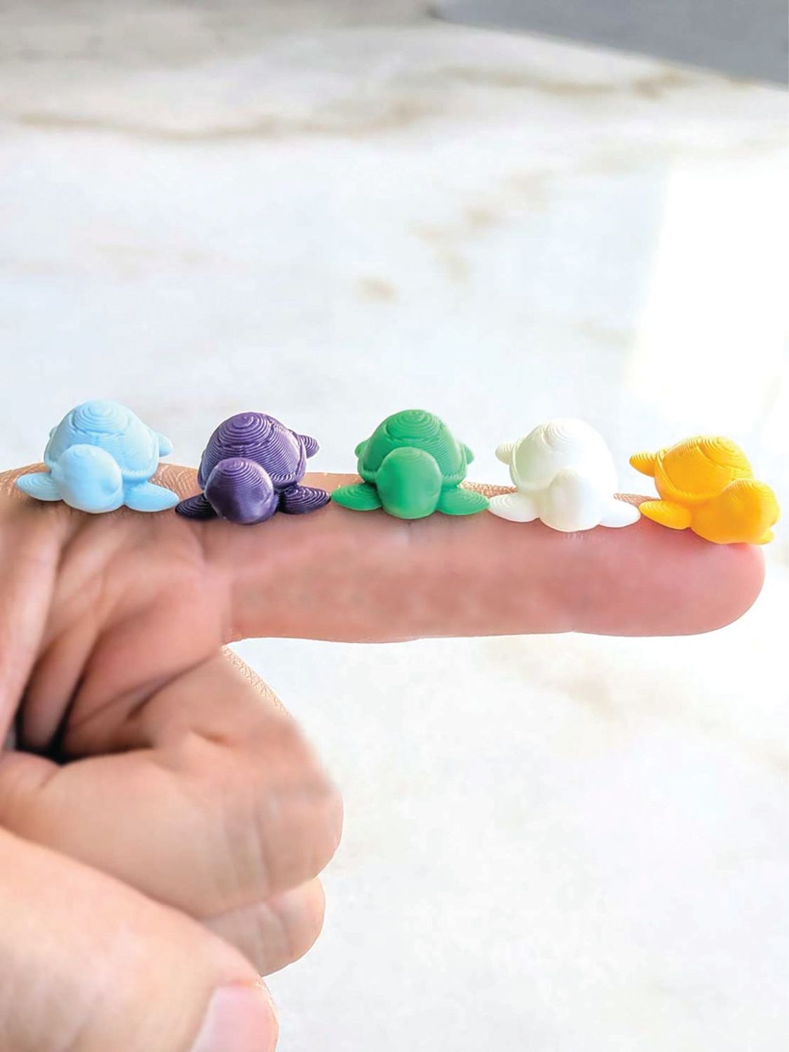 Mini Turtles