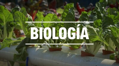 Biología. Nueva Escuela Mexicana. STEAM