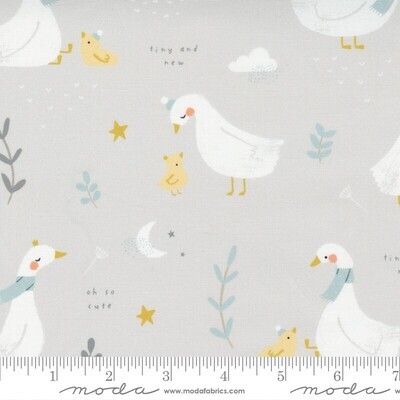 Little Ducklings - Warm Grey REMNANT Little Ducklings - Warm Grey REMNANT