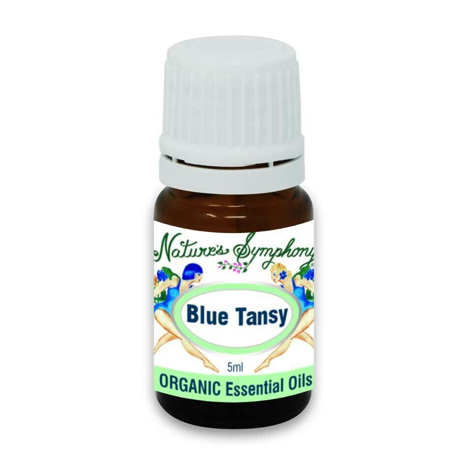 Blue Tansy, Organic/Wildcrafted oil - 5ml