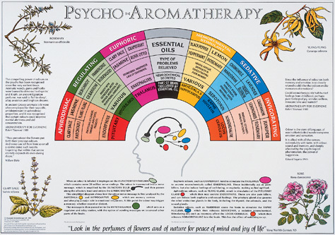 Psycho Aromatherapy