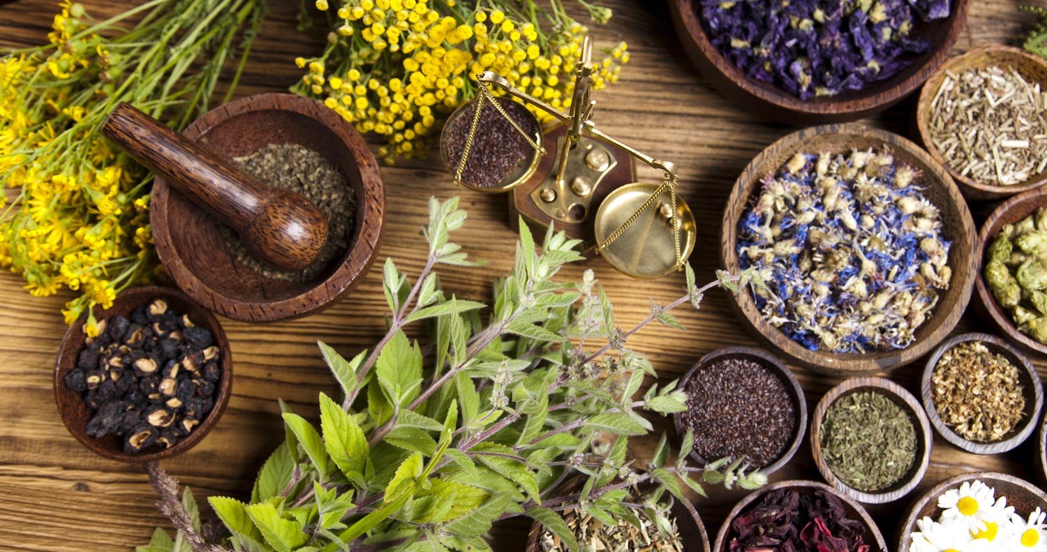 Introduction to Aromatherapy