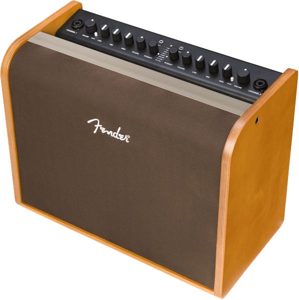 Fender Acoustic 100