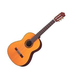 Yamaha C-80