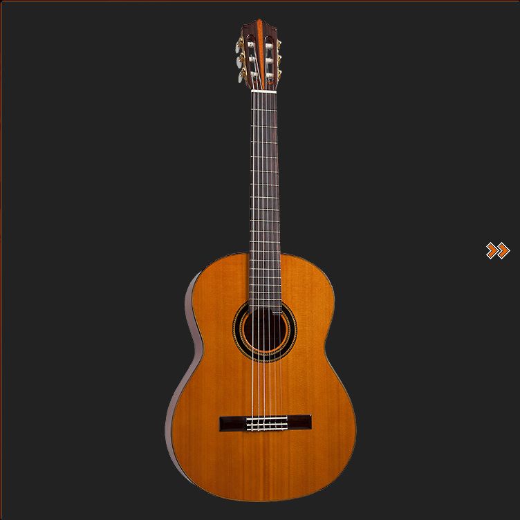 Do santos DG-110CG  3/4