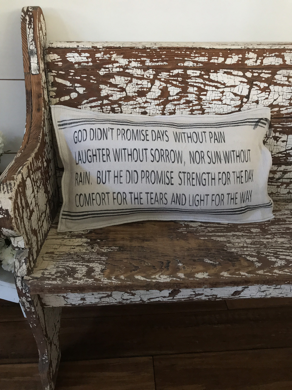 God Didn't Promise Pillow Cover God Didn't Promise Pillow Cover