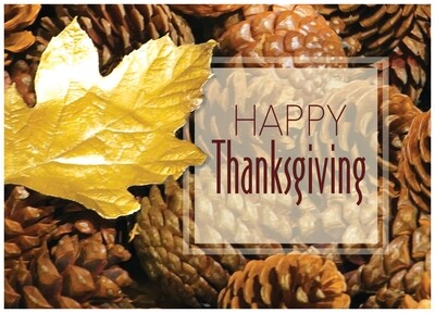 FRS 532 / 7966   Thanksgiving Card