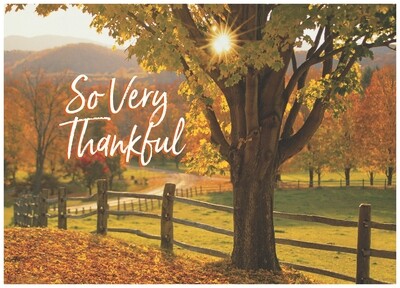 FRS 283 / 7960 Thanksgiving Card