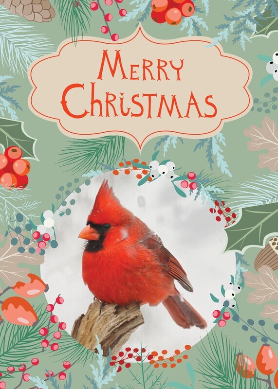 FRS5135 Christmas Cardinal