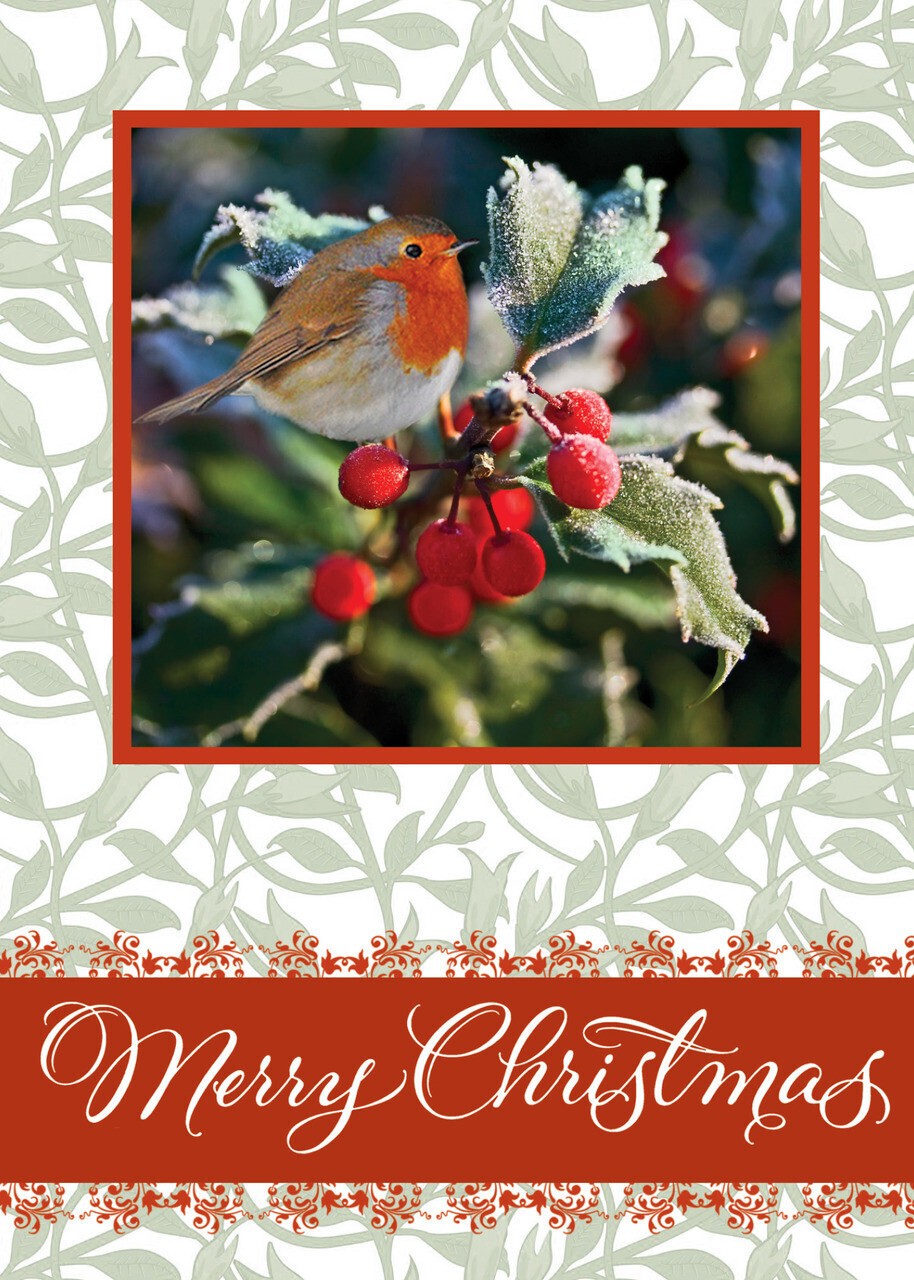 FRS5107 Bird &amp; Holly