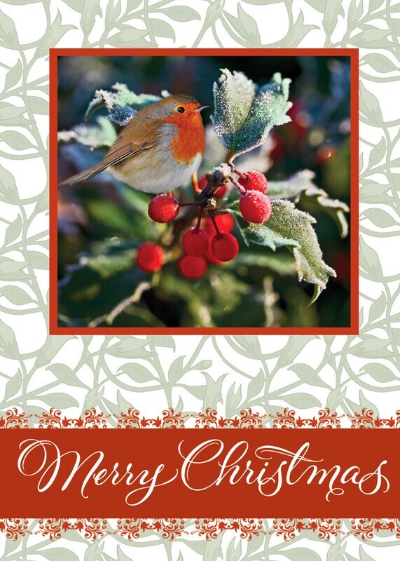 FRS5107 Bird &amp; Holly