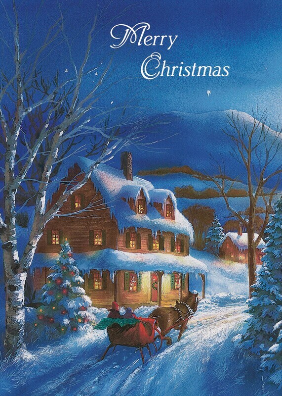 FRS784 Night Sleigh Ride