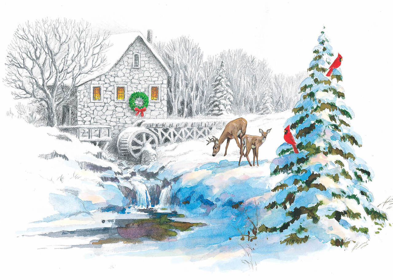 FRS924 Snowy Mill