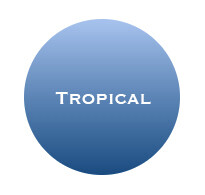 Tropical