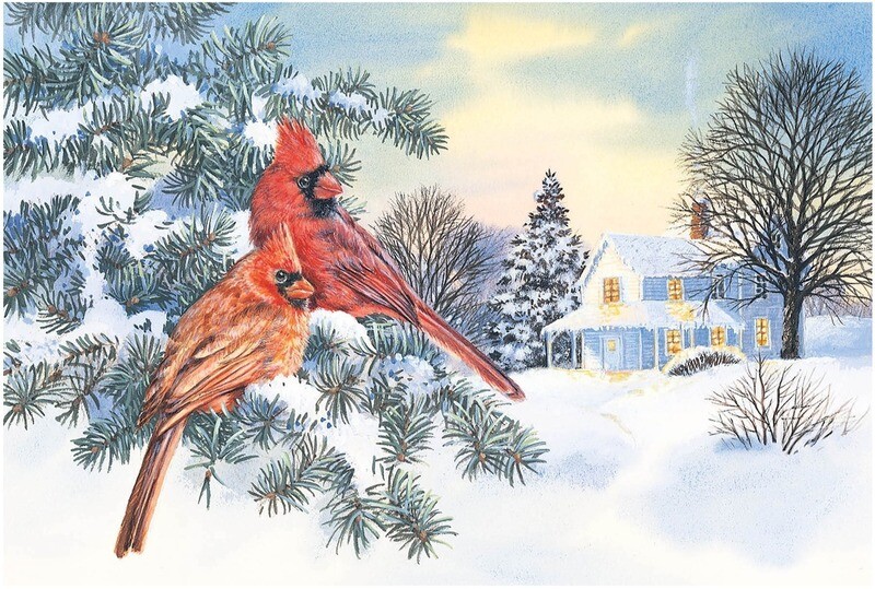 FRS923 Winter Cardinals
