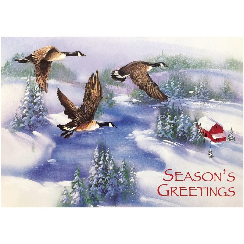FRS916 Winter Geese