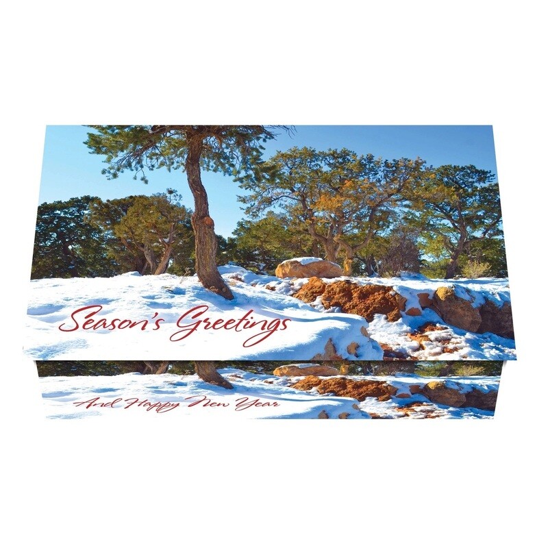 124207 Southwest Calendar Card
