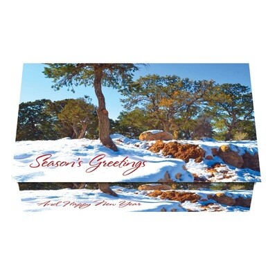 124207 Southwest Calendar Card