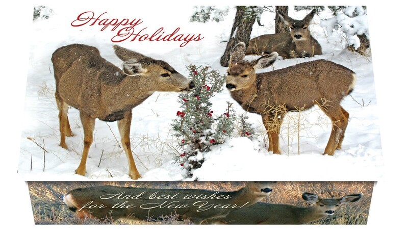 124294 Deer 2 Calendar Card