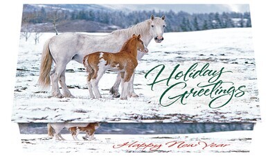 124307 Wild Horses Calendar Card