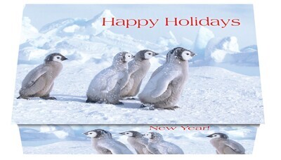 124315 Animal Collection 4 Calendar Card