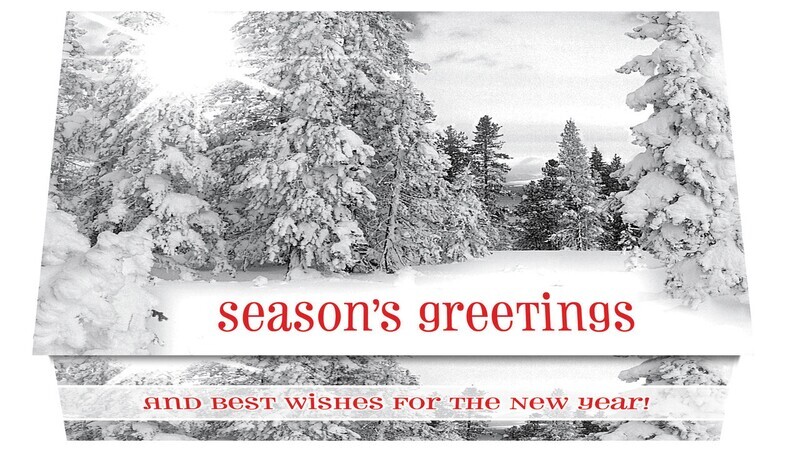124373 Pines In Black &amp; White Calendar Card