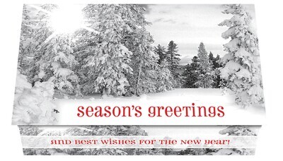 124373 Pines In Black &amp; White Calendar Card