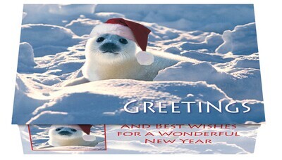 124239 Animal Collection 3 Calendar Card
