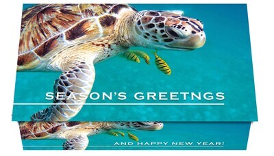 124426 Sea Turtle Calendar Card
