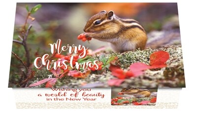 124462 Calendar Card